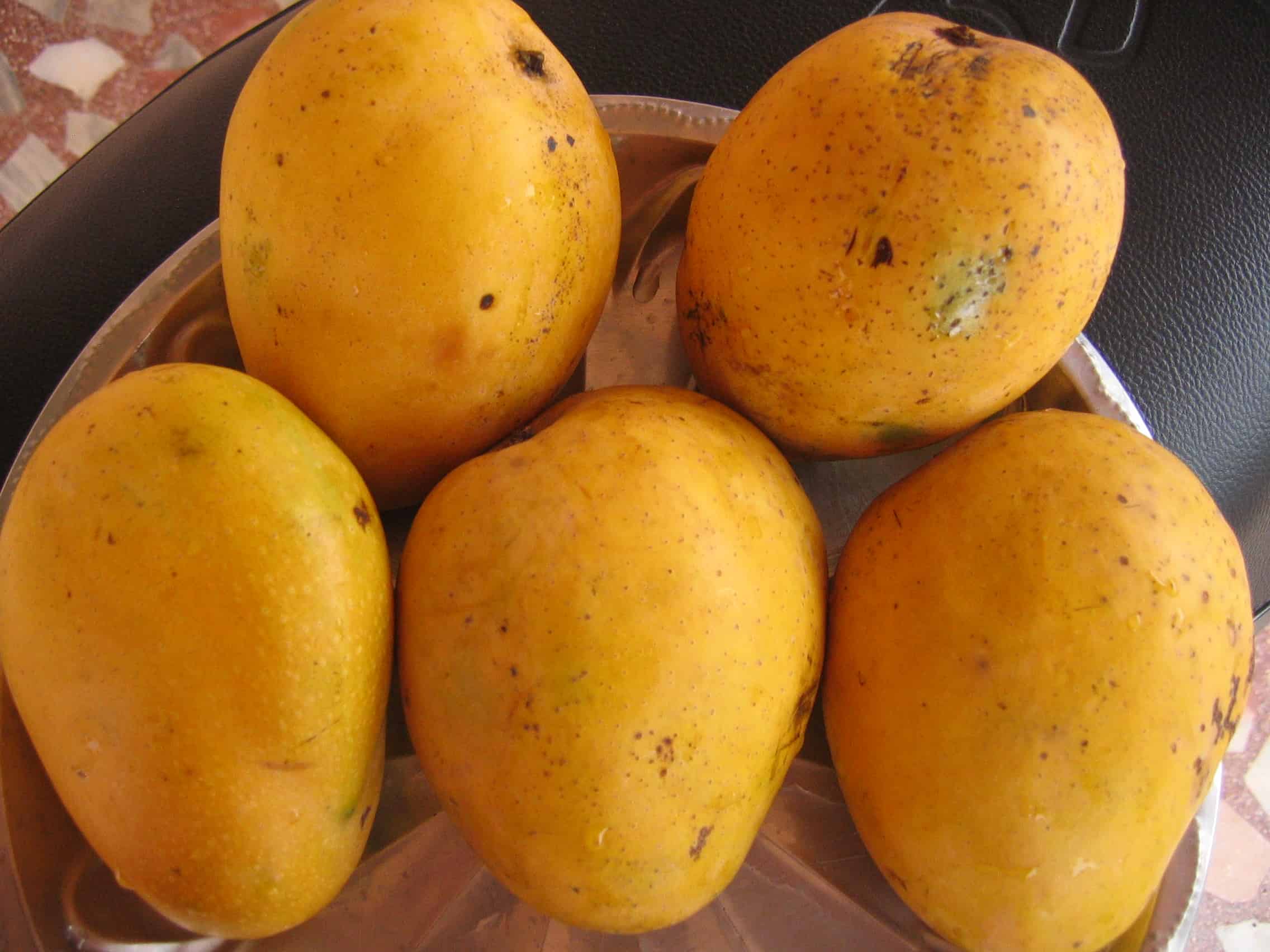 The Hunt for Jamaican Mangoes