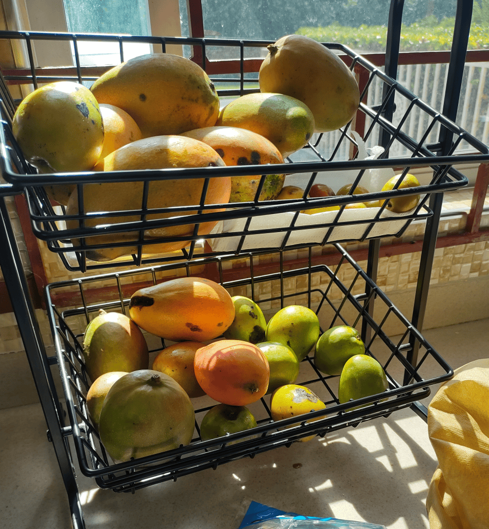A bunch of jamaican mangoes
